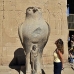 temple_edfu_lux_v_0176_egy2862.jpg